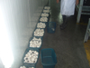 Mushroom Air Conditioning